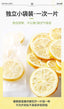 Premium Freeze Dried Lemon Slices Fragrant Citrus Tea with Honey Blossom