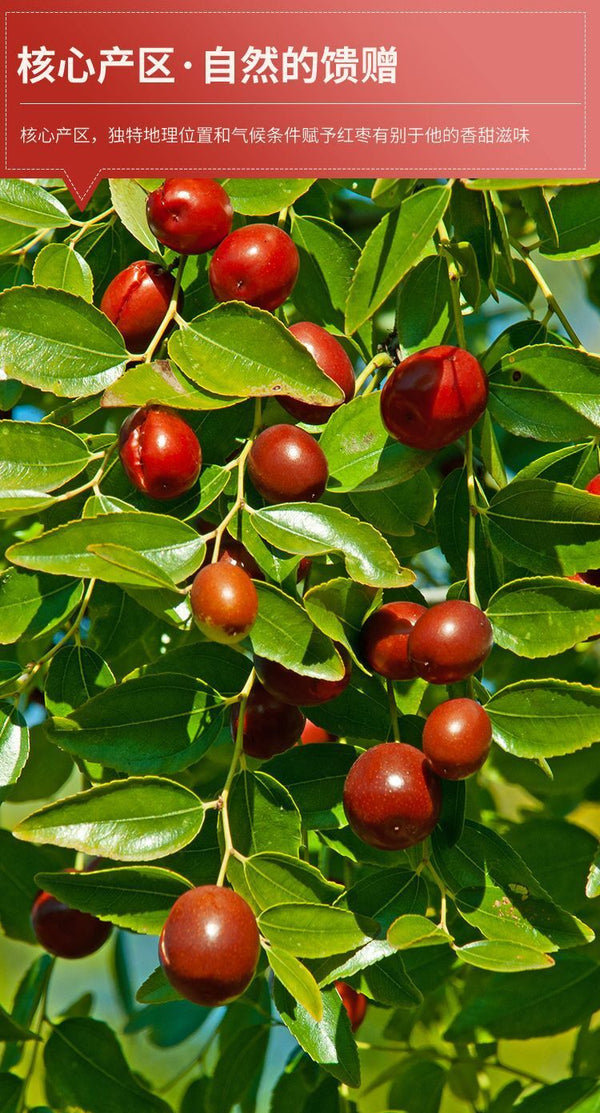 Premium Dried Red Dates (Jujube) - 1kg Bulk for Tea, Cooking & Snacks
