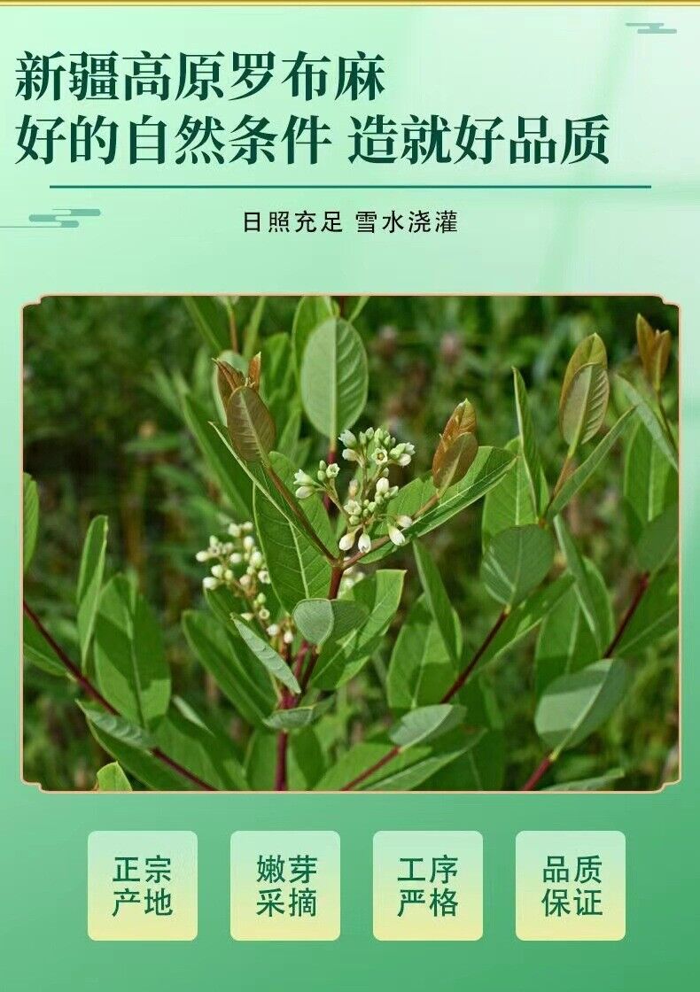 Lobelia Tee Authentische neue Knospen Lobelia Blatt 125g/Dose