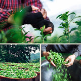 Loose Leaf Dahongpao Tea Black Tea Big Red Robe 250g Oolong Tea Da Hong Pao Tea