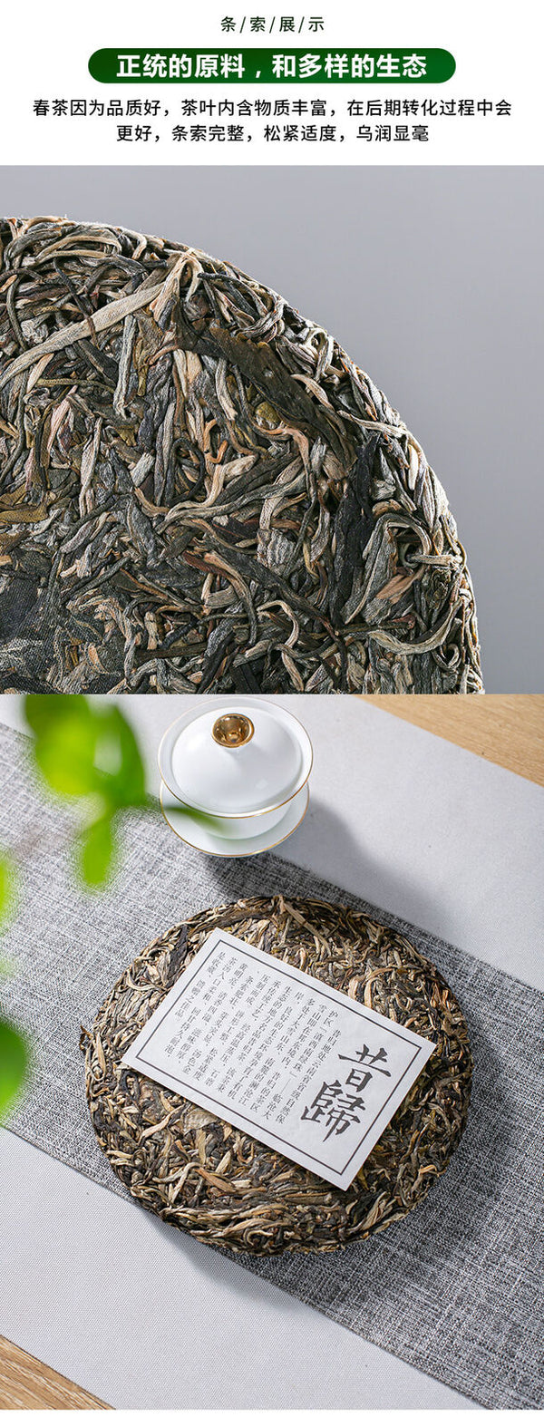Yunnan Tea Tree King Puerh Tea Puerh Raw Tea Cake Xigui Raw Puerh 357g Pu'er Tea