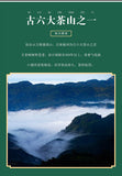 500g Youle Mountain Orchid Fragrance Pu-erh Raw Tea First Spring Sun Green Tea