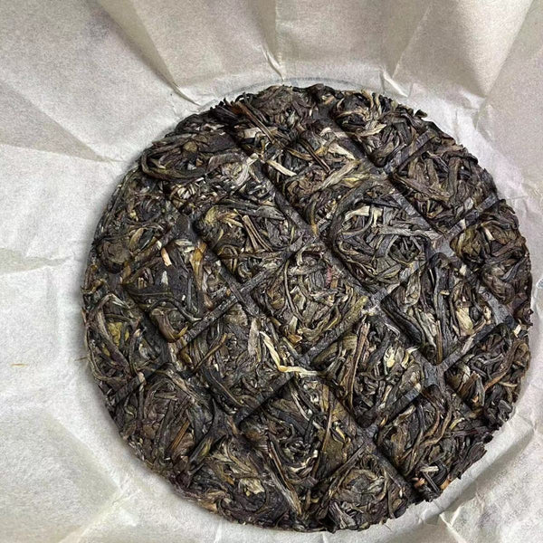 Pasha Big Tree Spring Tea Raw Tea Cake 100g