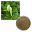 100g Certified Organic Gymnema Sylvestre Extract Powder 10:1 Blood Sugar Control