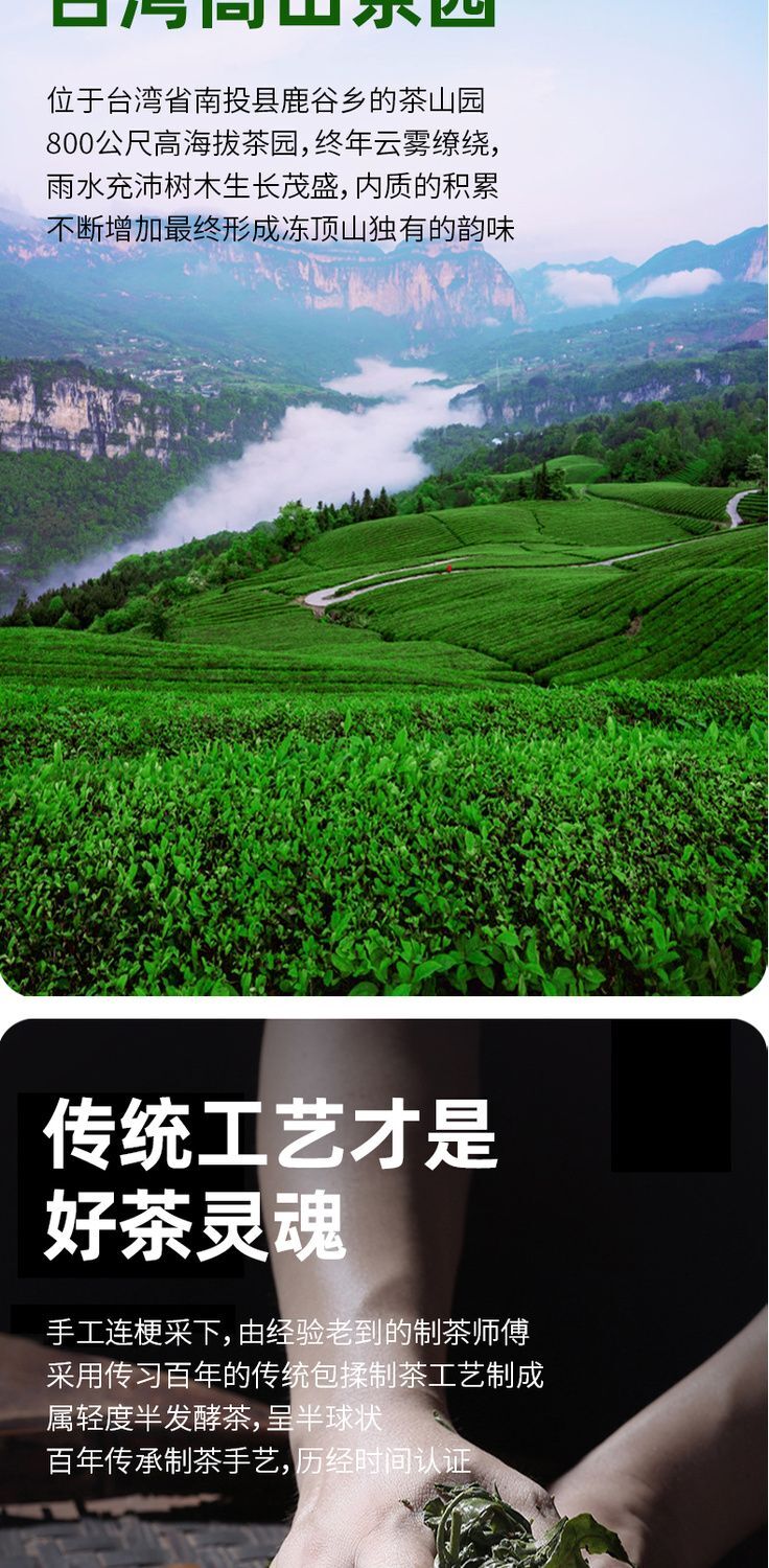 Oolong Tea Dayuling Frozen Top Oolong Alishan Lishan New Tea 75g