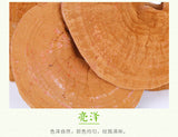 Changbai Mountain Ganoderma Lucidum Red Lingzhi Purple Lingzhi Edible Fungi 500g
