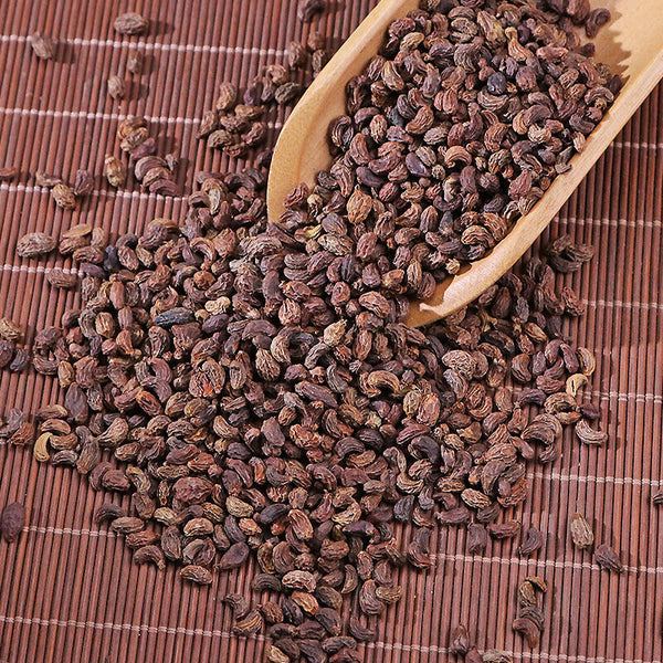 High quality 100% Natural Ligustri lucidi Fructus Nv Zhen Zi 女貞子 Chinese Herb