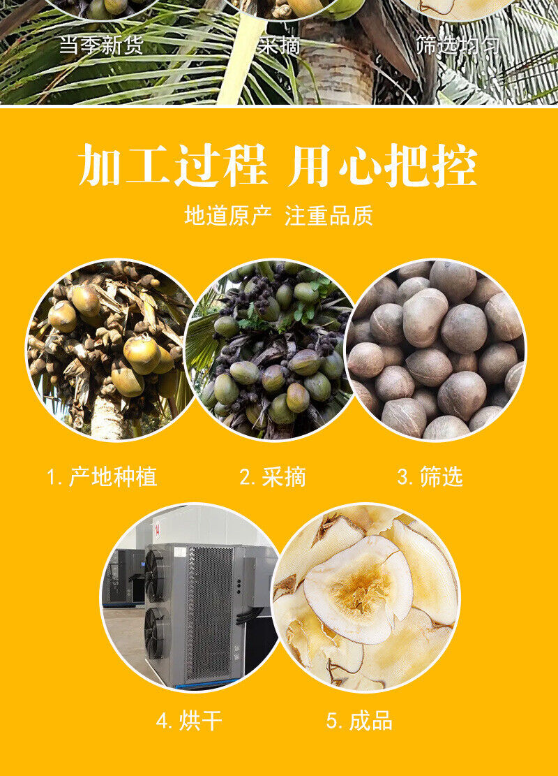 Sea Coconut Flakes Bulk Dried Coconut Dried Sea Coconut Flakes 500g