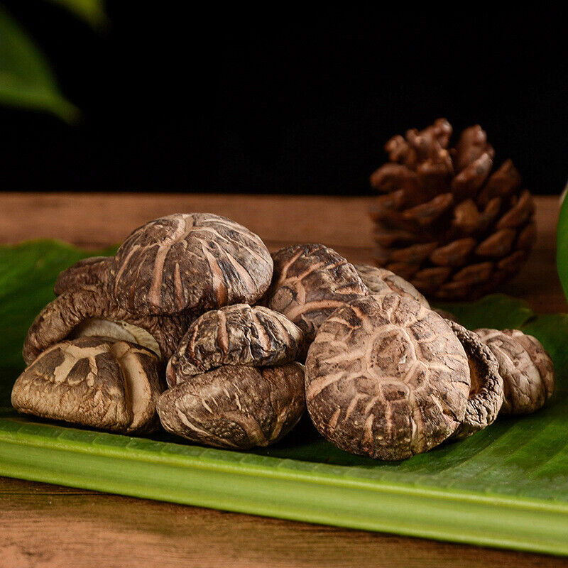 Premium Dried Tea Flower Edible Mushroom Chinese Herbal Fungi Bag Package 250g