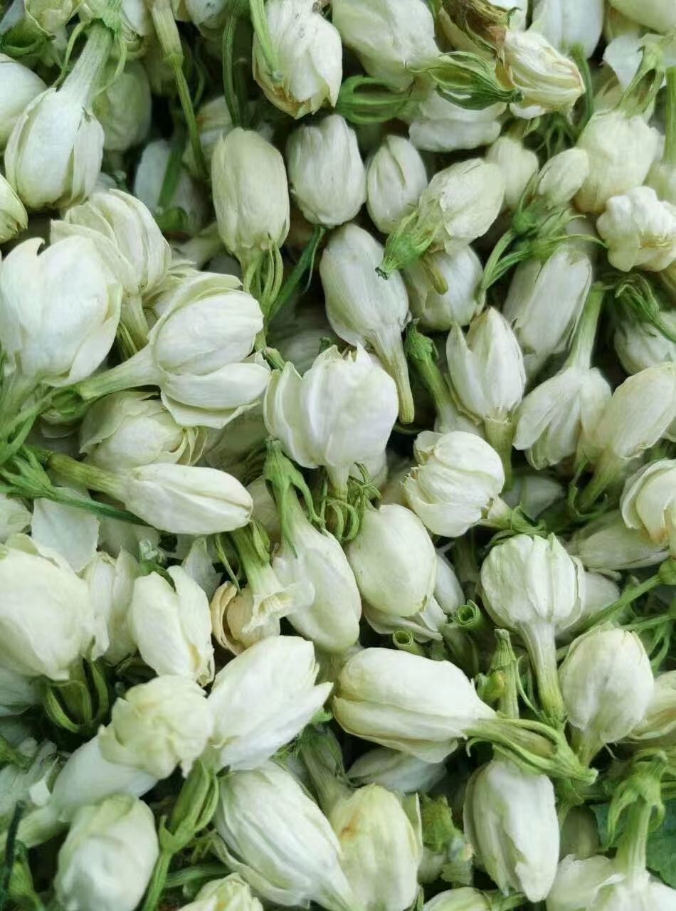 Jasmine Flower Powder Pure Jasmine Flower Grinding Natural Jasmine Powder Baking