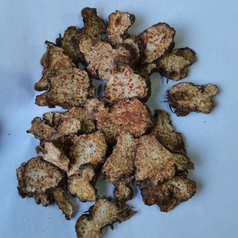Wild Atractylodis Rhizoma, Rhizoma Atractylodis, Atractylodes Rhizome, Cang Zhu Secondary image