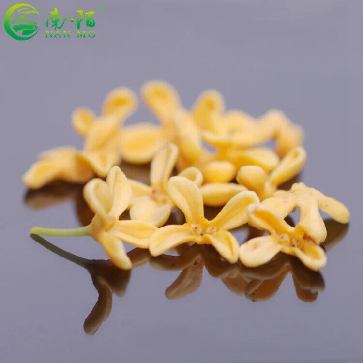 Organische natürliche Osmanthus Fragrans Blume Tee Kräuter Tee Gui Hua