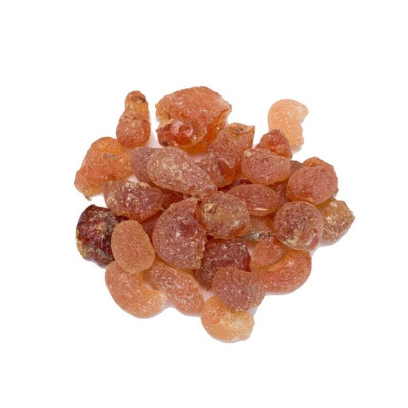 500g Instant Gum Arabic - Gum Acacia Natural 100% Main image
