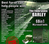 Pure Organic Barley Powder Drink