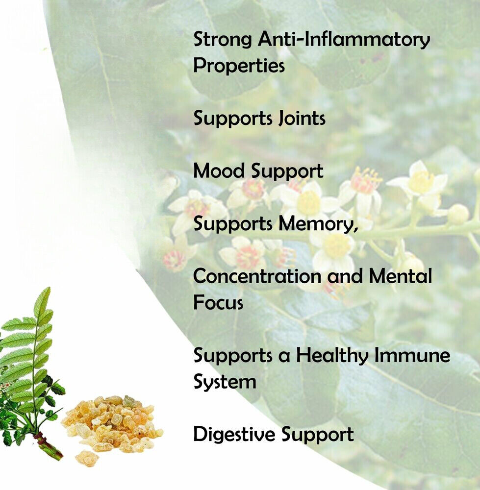 Boswellia Serrata Extract 17.6 oz Secondary image