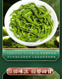 Premium Handcrafted Maojian Green Tea Authentic High Mountain Spring Tea 50g Can