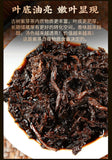 Purple Sprout Tea 357g Pu'er Tea Purple Rhyme Tiancheng Aged Pu'er Tea Cake