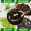 Green Heart Black Beans – Non-GMO Soybeans for Soy Milk & Bean Sprouts
