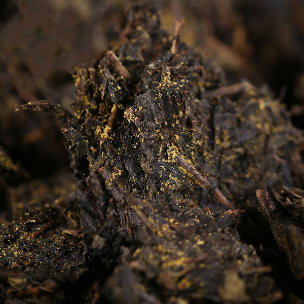 Organic Baishaxi Dark Tea Fu Zhuan Brick Tea China Anhua Black Tea Fu Cha 300g