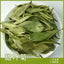 Wholesale supply of stevia/stevia leaf bulk goods wholesale 17.6oz