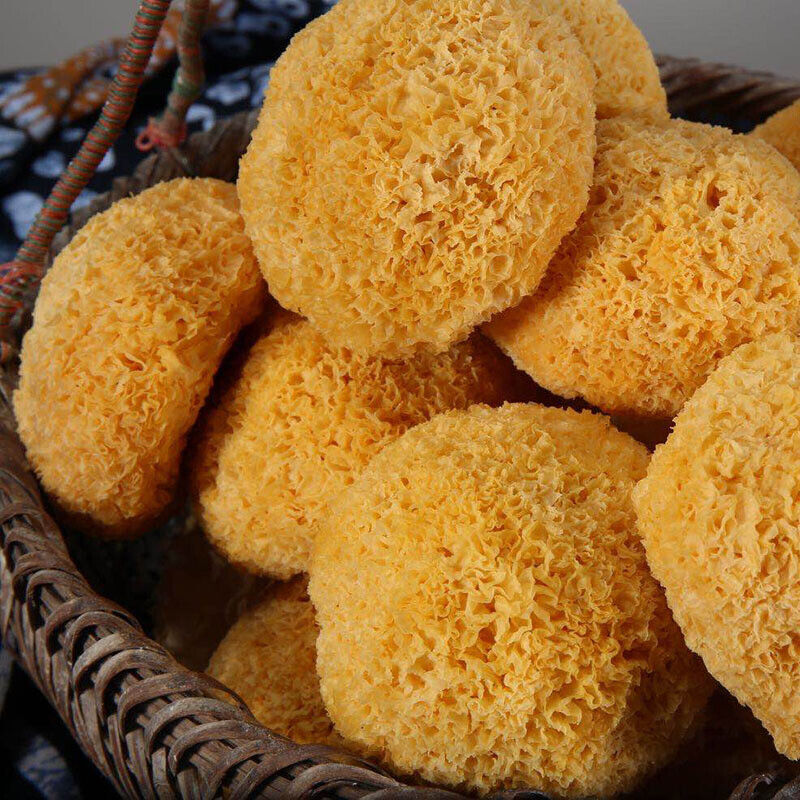 Great Tremella Fuciformis Edible Snow Fungus Ball Mushrooms Good for Health100g