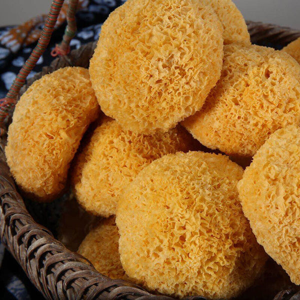 Great Tremella Fuciformis Edible Snow Fungus Ball Mushrooms Good for Health100g