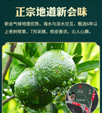 Raw Sun-dried Tangerine Pu'er Tea Kumquat Tangerine Peel Yunnan Pu'er Ripe Tea