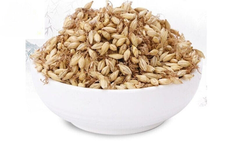 Mai Ya/麦芽/Premium/Malt/Fructus Hordei Germinatus Malt