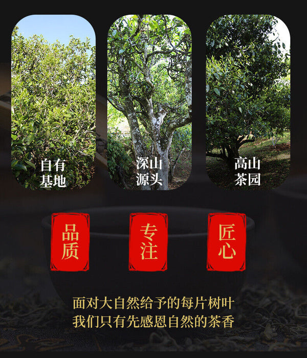 Imperial Golden Sprout Ancient Tree Pu'er Mature Tea Premium Loose Tea 120g