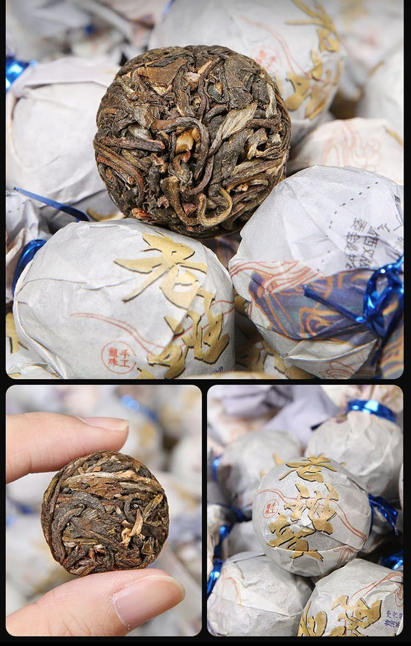 Puer Longzhu Yunnan Ancient Tree Old Banzhang Puer Raw Tea