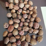 100g Chun Sha Ren Spring Sandnut Dried Fruit Healthy Herbal Tea 煲汤泡茶 泡酒养胃养生茶调理肠胃