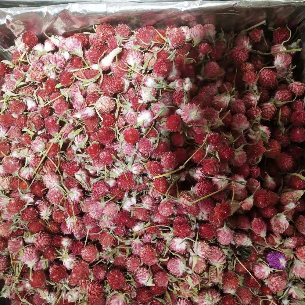 herbal tea Amaranth hongqiaomei dried flower tea health slimming flower tea 500g
