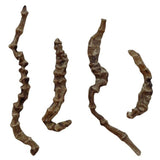 Herbal Medicine Ground Ginseng Cordyceps Ginseng Cordyceps Ginseng Male 500g