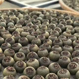 Xinhui Xiaoqingkang Raw and Sun-dried Xiaoqingkang Palace Puerh Tea 500g