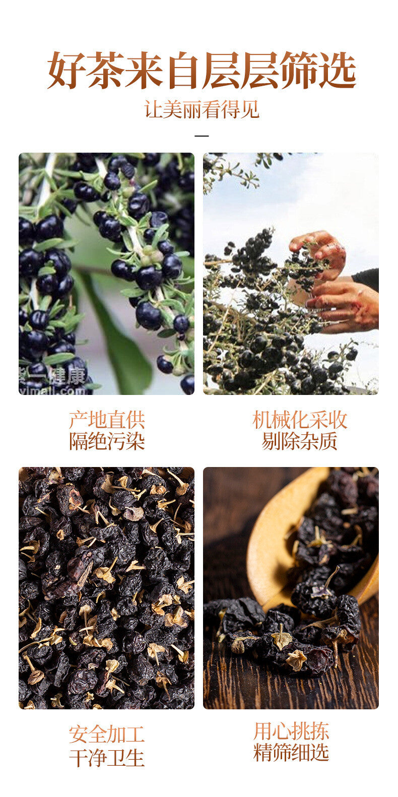 100g Organic Black Goji Berry Health Herbal Tea Natural Qinghai Black Wolfberry