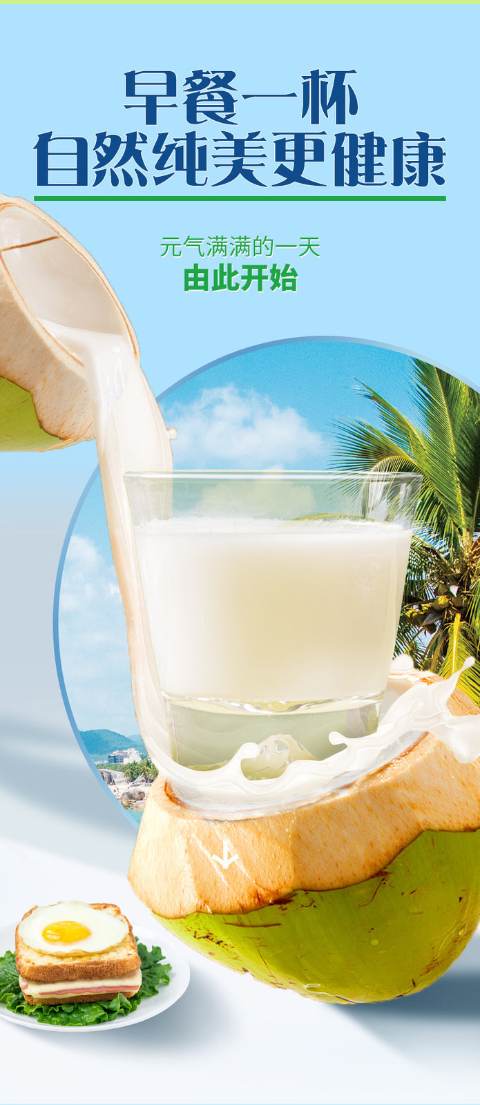 Premium Coconut Powder – For Drinks, Baking & Desserts (500g)