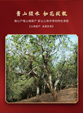 357g Pu'er Tea Brown Mountain Banzhang Ancient Tree Fermented Puer Ripe Tea Cake