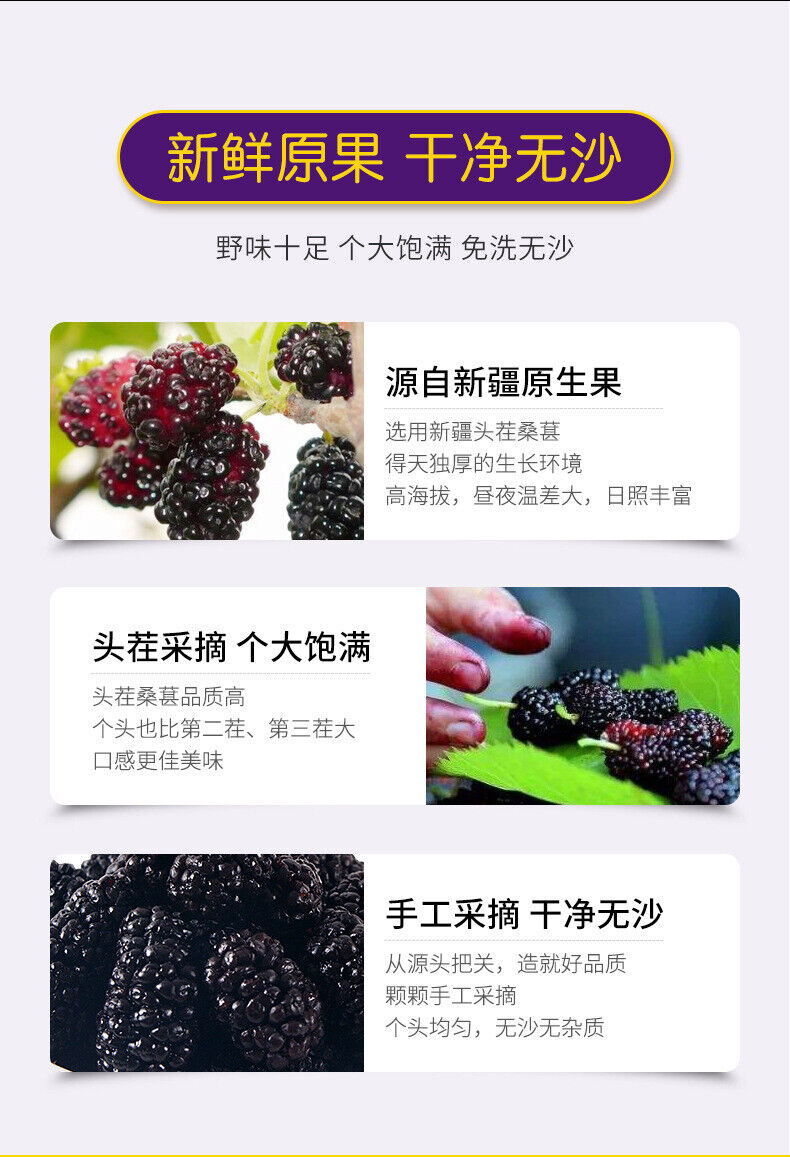 DriedMulberry Fruit No Wash Dried Mulberry Mulberry Black Mulberry 500g/1.1lb