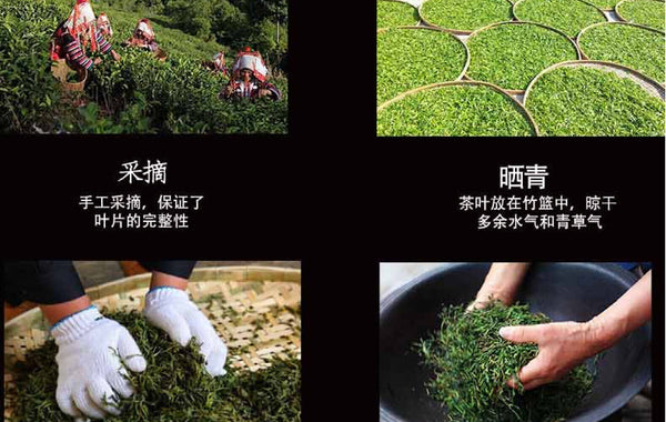 Yunnan Tea Python Turnip Raw Tea Ancient Tree Pu-erh Tea 357g Cake Tea