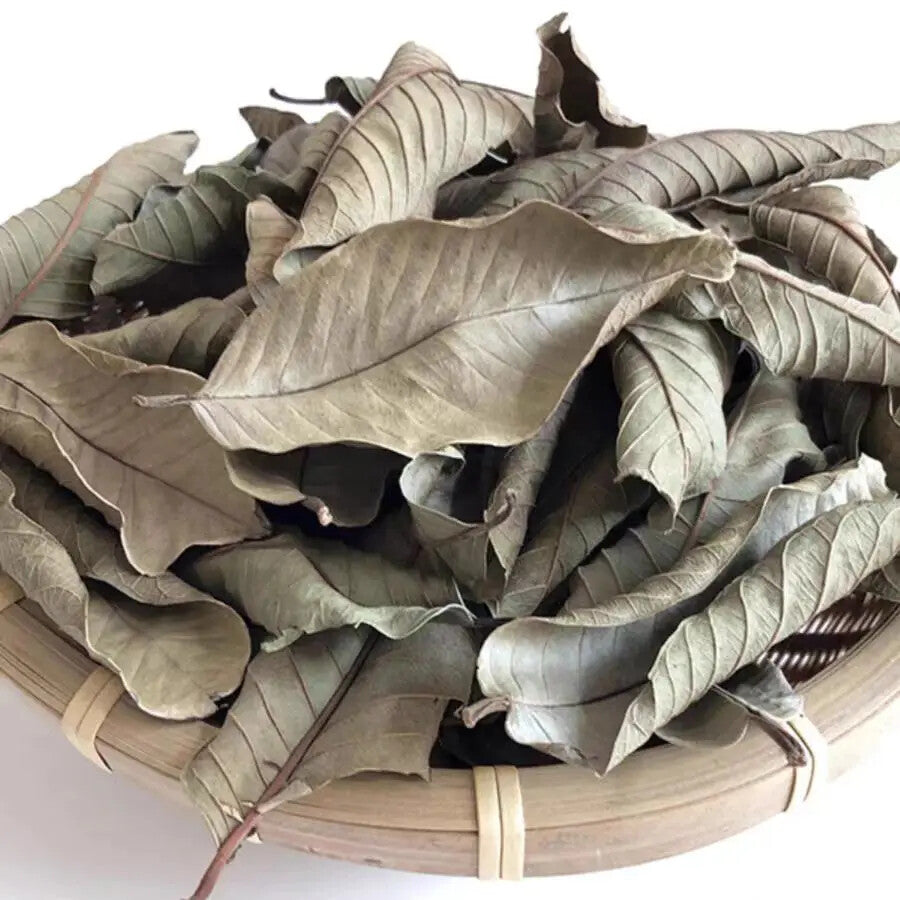 Organic Guava Leaf Tea Natural Psidium Guajava Linn Relieving Food Accumulation Main image
