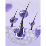 Black bean black wolfberry black sesame tea health Mulberry five black tea