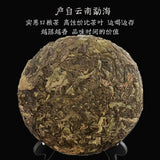 Raw Pu-erh Tea Menghai Main Region Bulang Mountain Natural Healthy Yunnan Tea