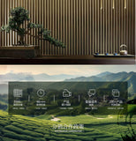 Fragrance Black Tea New Tea Premium Daily Drink Yunnan Dianhong Loose Leaf Honey