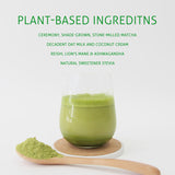 Matcha Green Tea Powder Matcha Green Tea Powder Unsweetened Natural 250g/8.8oz