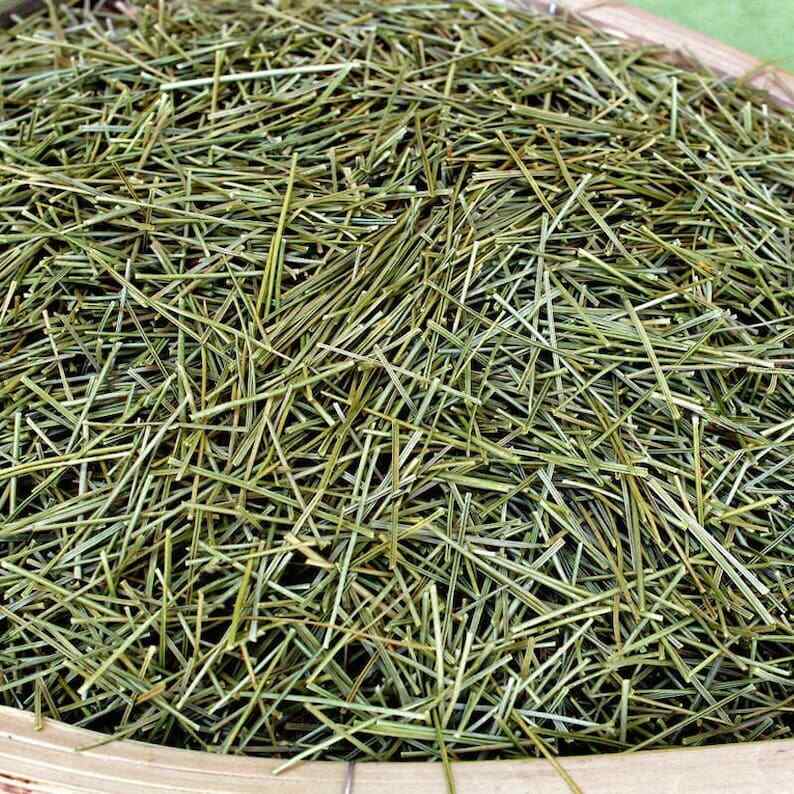 Organic Nature Pine Needle tea, Pine tea, Song Zhen Secondary image