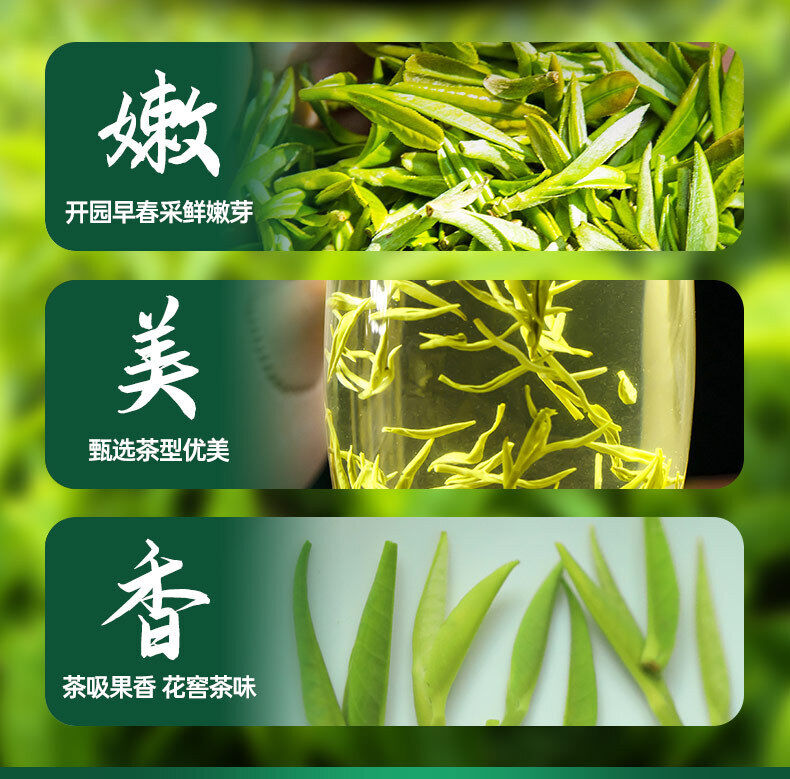 Minggulan Biluochun Green Tea Spring Tea Buds Canned 80G  Fragrant and Sweet