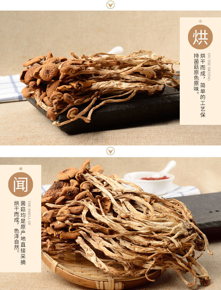 New Premium Dried Tea Tree Mushroom Chinese Herbal Agrocybe Cylindracea 250g/bag