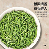 Premium Pre Qingming Xinyang Maojian Green Tea 2025 High Grade Zhushe