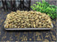8.8oz Dried Herbs Sophora Fruit, Pagoda Tree Fruit, Fructus Sophorae, Huai Jiao