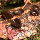 Northeast Black Fungus Dry Goods with Thick and Rootless Flesh 258g/bag